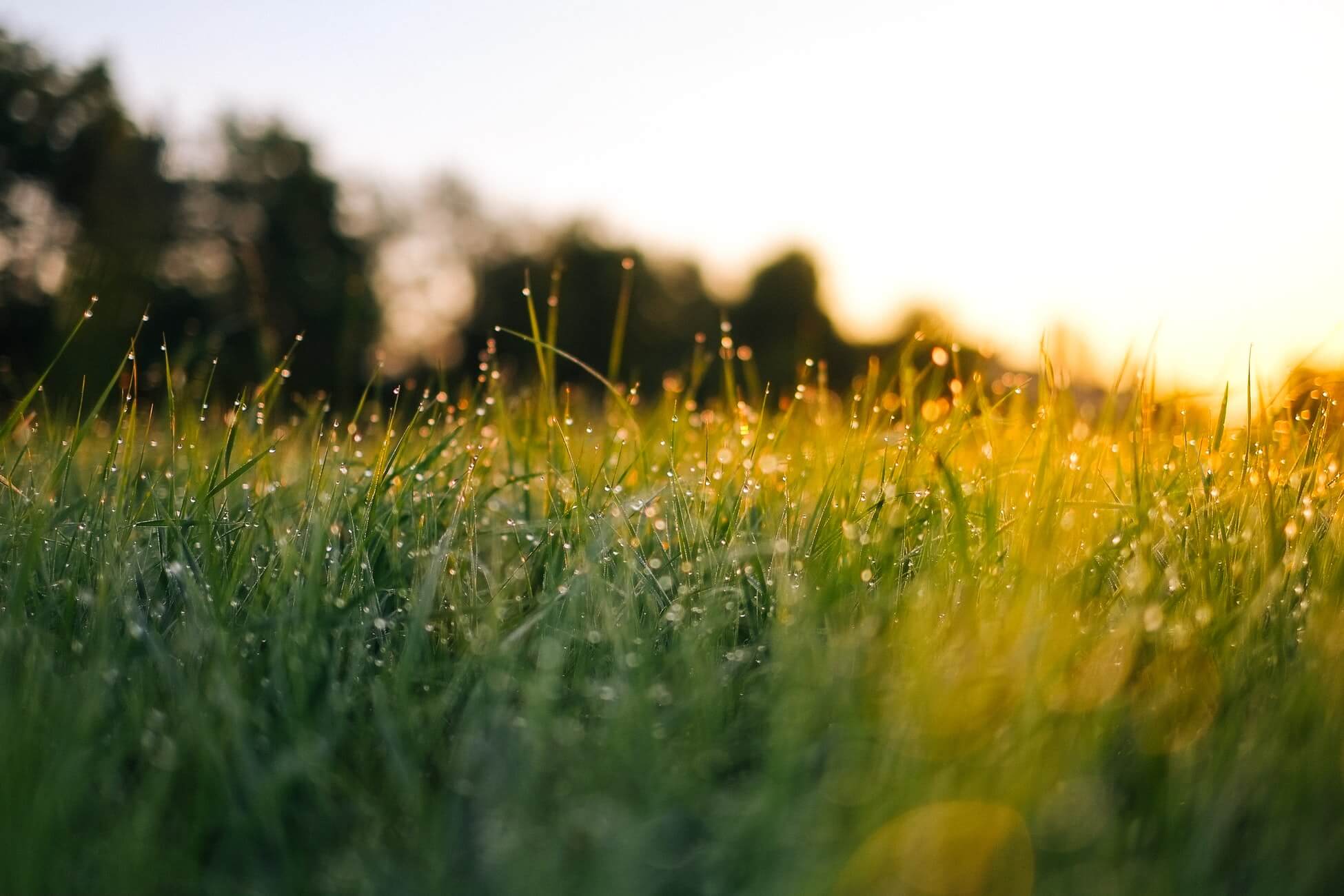 Packaging for a sustainable future